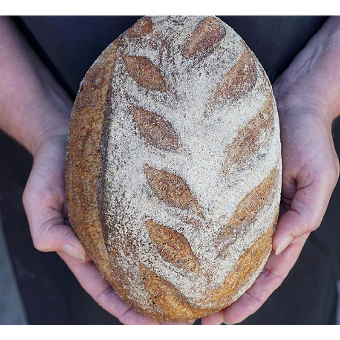 Bread, Sourdough, House Milled Wheat, Organic, 24 oz loaf