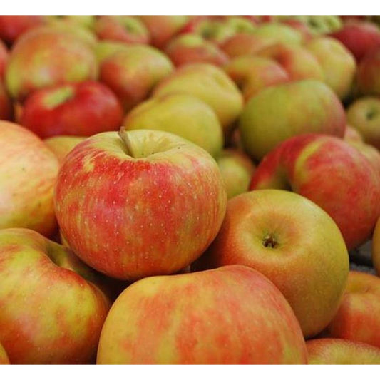 # Apples, Honeycrisp
