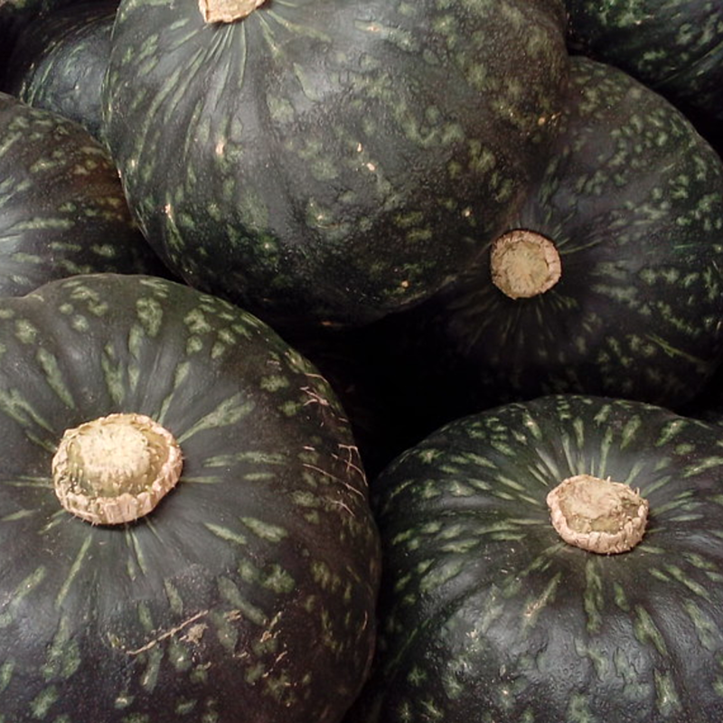 # Squash, Kabocha