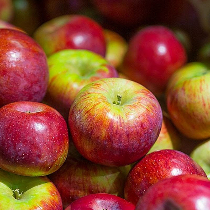 # Apples, Cortland