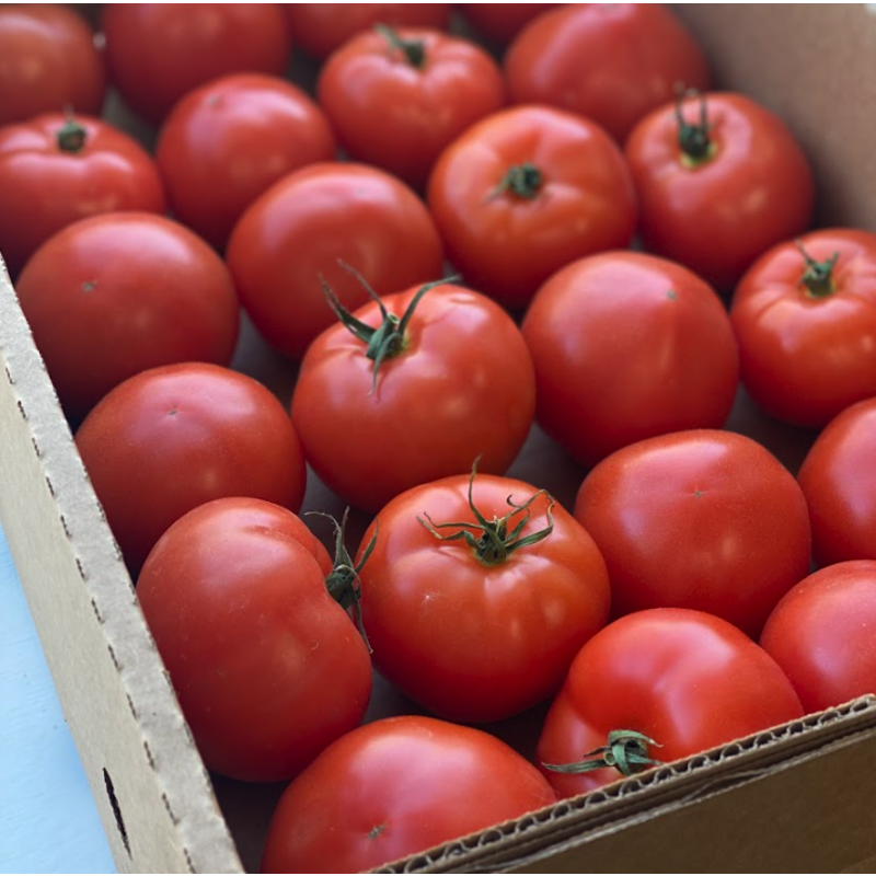 # Tomato, Slicing, Organic