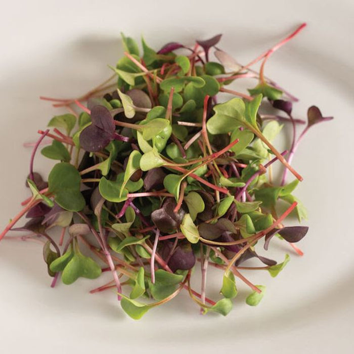 Microgreens, Organic, 1.5 oz bag