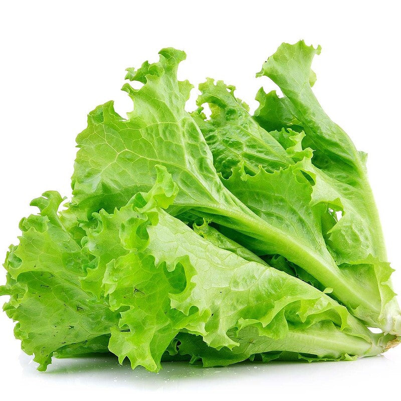 Lettuce, head