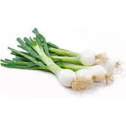 Fresh White Onion, Organic, bunch
