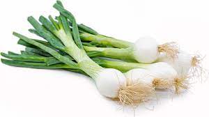 Fresh White Onion, Organic, bunch