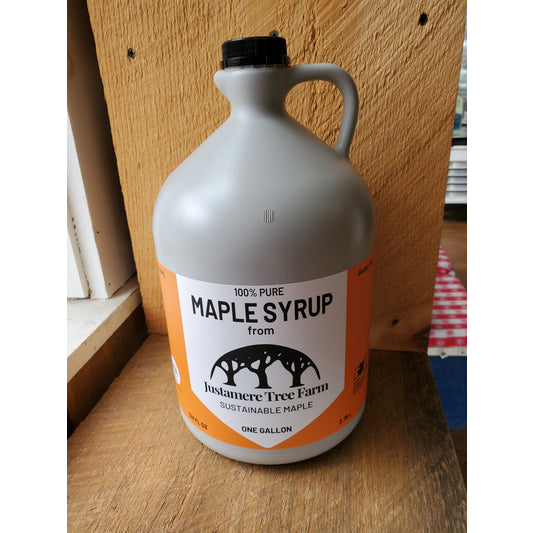Maple Syrup, gallon