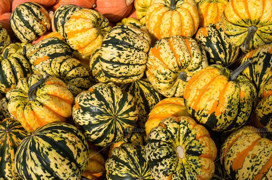 Squash, Carnival, ~1 lb each