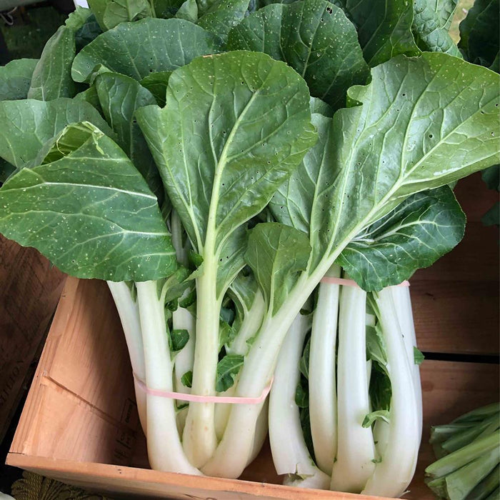 Bok Choy, Organic, each