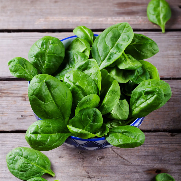 Spinach, 1/2 lb bags