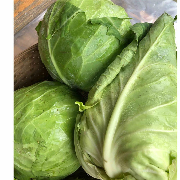 Green Cabbage, Each, approx 3.75 lbs