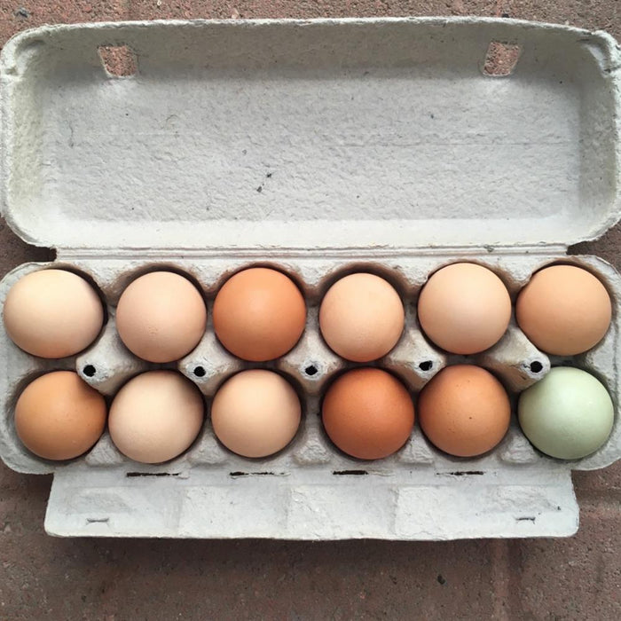 Farm Fresh Eggs, Dozen