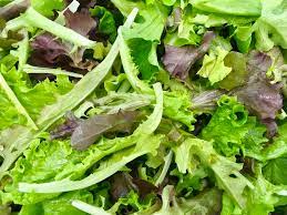 Salad Greens, Baby Spring Lettuce Mix, 1/2 lb bags