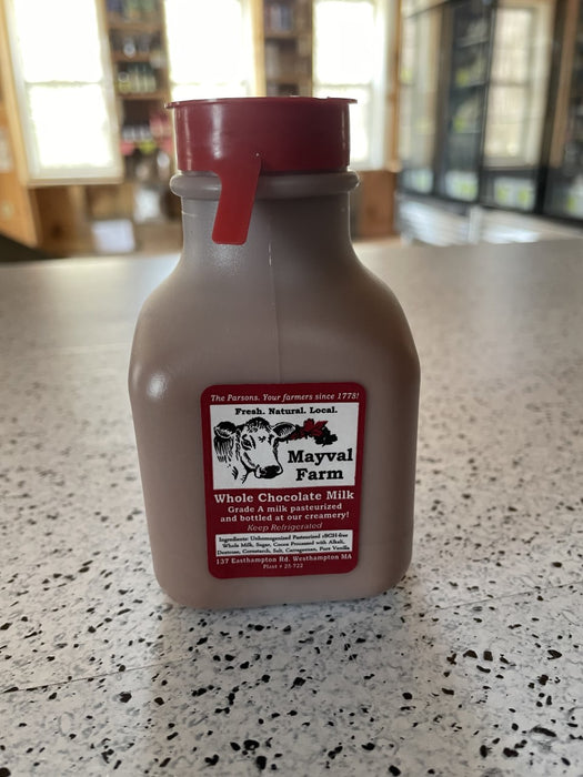 Chocolate Milk, 8 oz