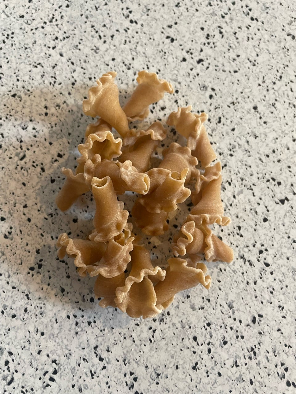Pasta, Porcini Trumpets, 16 oz package
